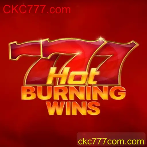 Explorando o Jogo HotBurningWins